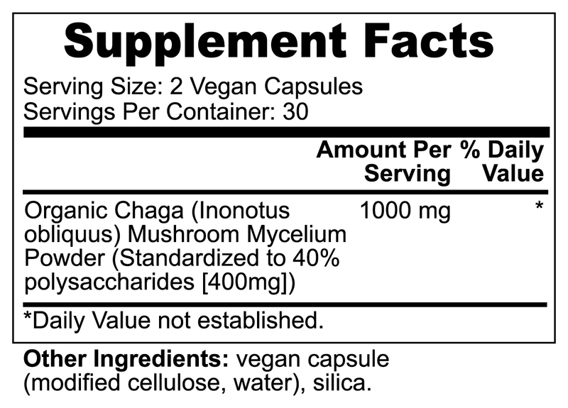 chaga mushroom